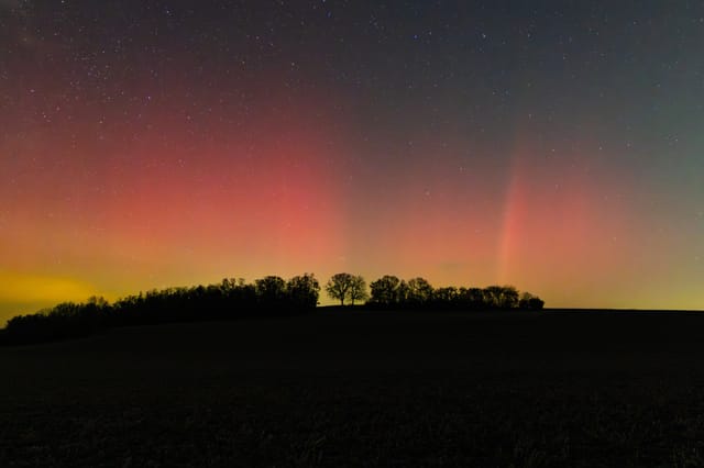 Erster Fotowettbewerb der Grünen!